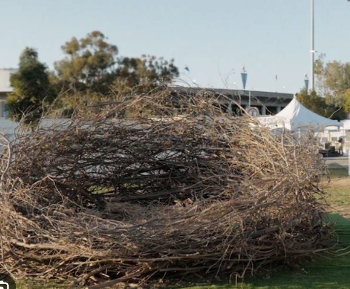 Is Your Empty Nest Causing Grief? Understanding Symptoms & Identity Impact